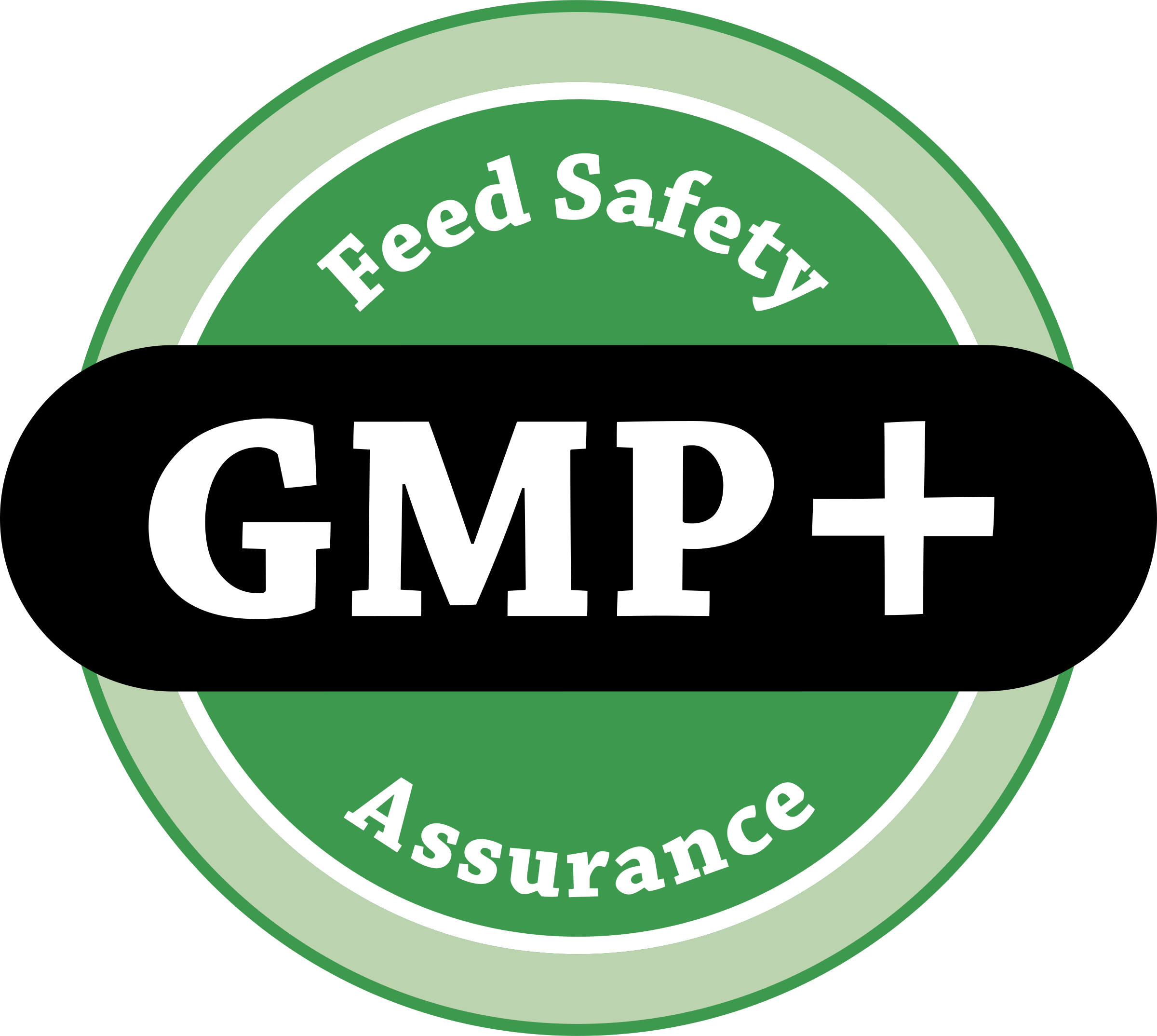 07_Logo_GMP.png